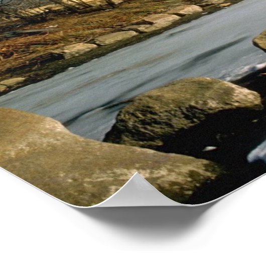 Poster Parc Central de Bow Bridge Winter NYC (Coin)