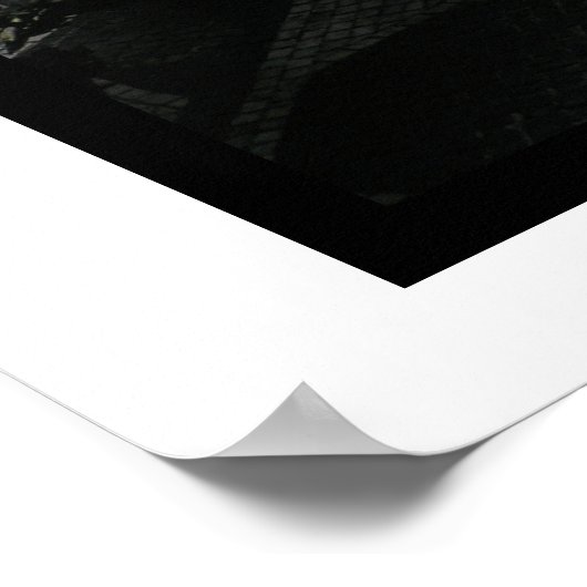 Poster Parc central de Imagine (Coin)