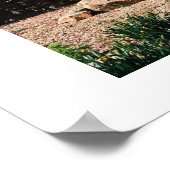 Poster Parc Chautauqua, Boulder, Colorado (Coin)