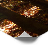 Poster Parc de Greenbelt à l'automne I Paysage du Marylan (Coin)