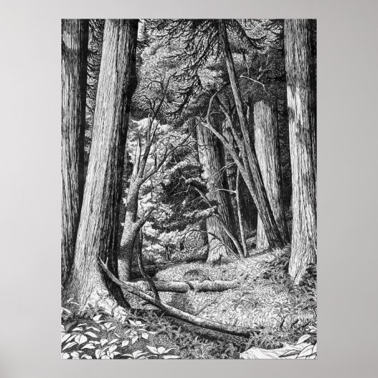 Poster Parc de Redwood (Devant)
