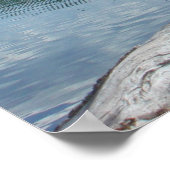 Poster Parc des glaciers du lac McDonald (Coin)