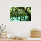 Poster Parc des sources de rayonnement magique (Cuisine)