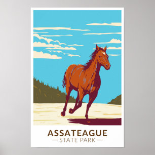 Poster Parc d'état d'Assateague Maryland