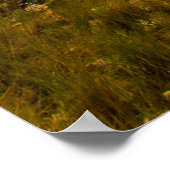 Poster Parc d'état de Bear Butte, Dakota du Sud (Coin)