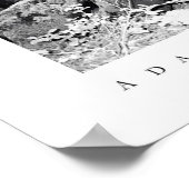 Poster Parc d'état de Big Basin Redwoods (Coin)