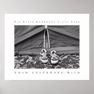 Poster Parc d'état de Big Basin Redwoods