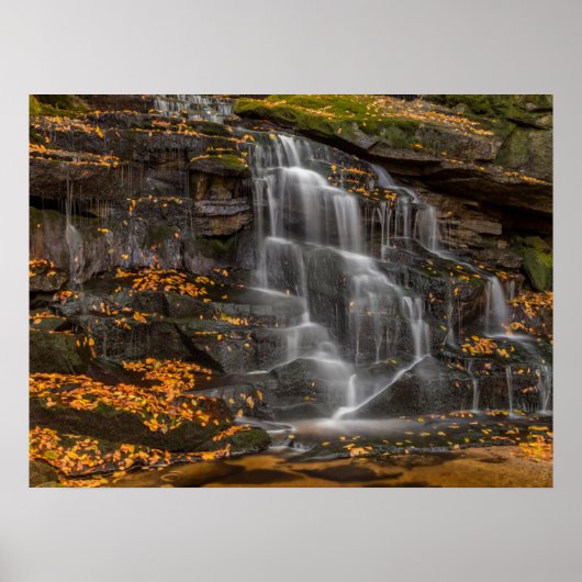 Poster Parc d'État de Blackwater Falls (Devant)