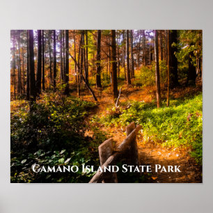 Poster Parc d'état de Camano Island à l'automne
