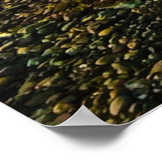 Poster Parc d'état de Camano Island Texte modifiable et p (Coin)