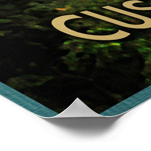 Poster Parc d'état de Custer (Coin)