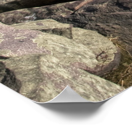 Poster Parc d'état de Devils Lake (Coin)