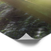 Poster Parc d'état de pittoresque Beach (Coin)