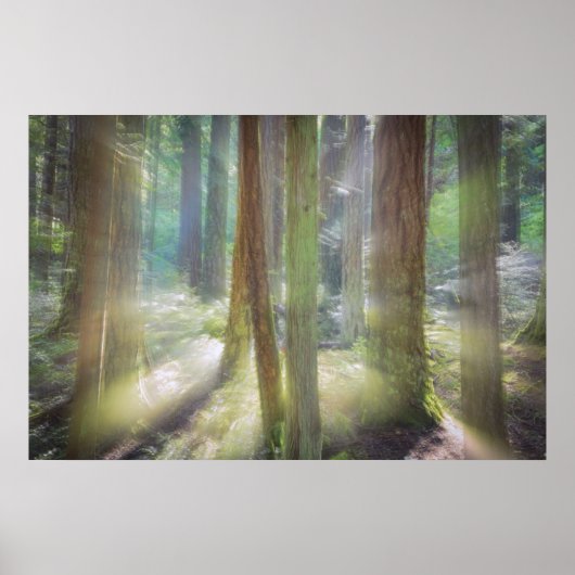 Poster Parc d'état de pittoresque Beach (Devant)