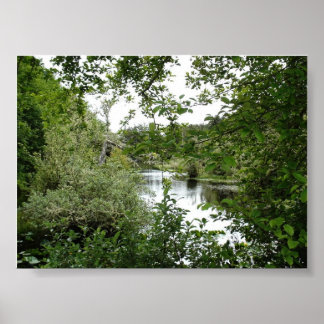 POSTER PARC D'ÉTAT DES CÔTES D'OCÉAN
