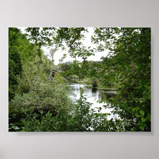 POSTER PARC D'ÉTAT DES CÔTES D'OCÉAN (Devant)