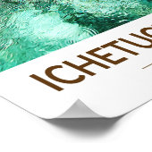 Poster Parc d'État des sources de Ichetucknee Floride aqu (Coin)