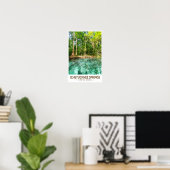 Poster Parc d'État des sources de Ichetucknee Floride aqu (Bureau à domicile)