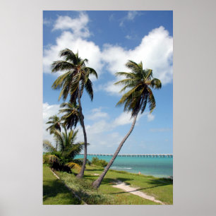 Poster Parc d'état du Bahia Honda et pont de sept milles