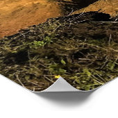 Poster Parc d'État du Punchbowl dans l'Oregon (Coin)