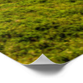 Poster Parc d'État Ecola, Oregon. Panorama de Crescent (Coin)