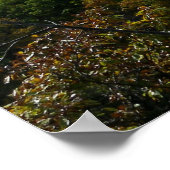 Poster Parc d'état Ha Ha Tonka (Coin)