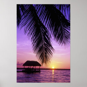 Poster Parc d'État John Pennekamp, Florida Keys, Key