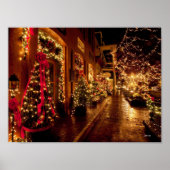 Poster parc d'hiver, floride (Devant)