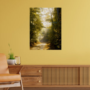 Poster Parc Golden Morning, Photographie d'art original f