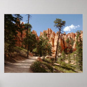 Poster Parc national Bryce Canyon Trail