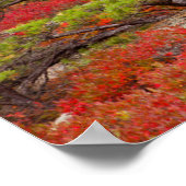 Poster Parc national d'Acadia, Maine (Coin)