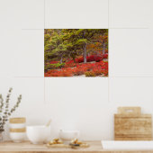 Poster Parc national d'Acadia, Maine (Cuisine)