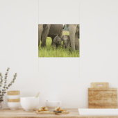 Poster Parc national de Corbett, Uttaranchal, Inde. (Cuisine)