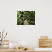 Poster Parc national de Daintree (Patrimoine mondial de l (Cuisine)