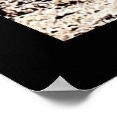 Poster Parc national de Death Valley (Coin)