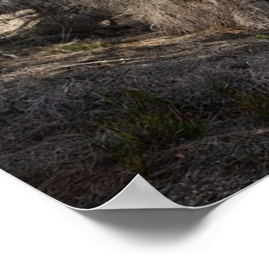 Poster Parc national de Freycinet (Coin)