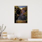 Poster Parc national de Haleakala Hawaii (Cuisine)