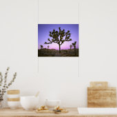 Poster PARC NATIONAL DE JOSHUA TREE, CALIFORNIE. États-Un (Cuisine)