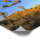 Poster Parc national de Joshua Tree, Californie. États-Un (Coin)