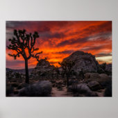 Poster Parc national de Joshua Tree Coucher de soleil rou (Devant)