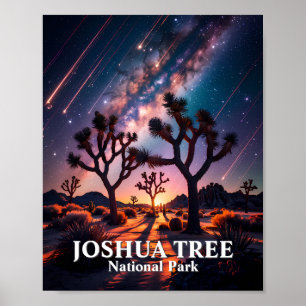 Poster Parc national de Joshua Tree Nuit Ciel Voie lactée