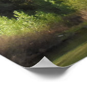 Poster Parc national de Kings Canyon (Coin)