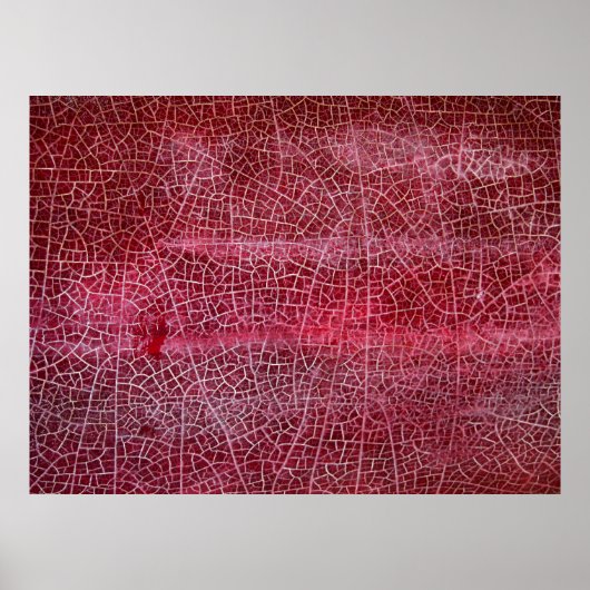 Poster Parc national de la vallée de la Mort (Devant)