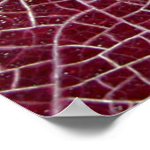 Poster Parc national de la vallée de la Mort (Coin)