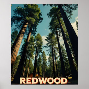 Poster Parc national de Redwood Californie Vintage