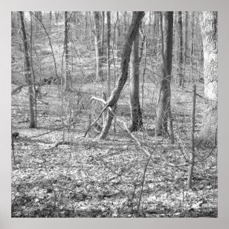 Poster Parc national de Ridley Creek