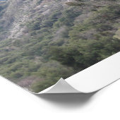 Poster Parc national de Sequoia (Coin)