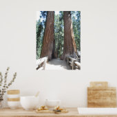 Poster Parc national de Sequoia (Cuisine)