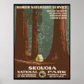 Poster Parc national de Sequoia (Devant)