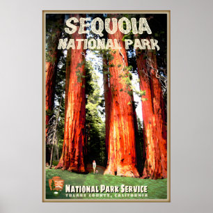 Poster Parc national de Sequoia Tulare County Californie 